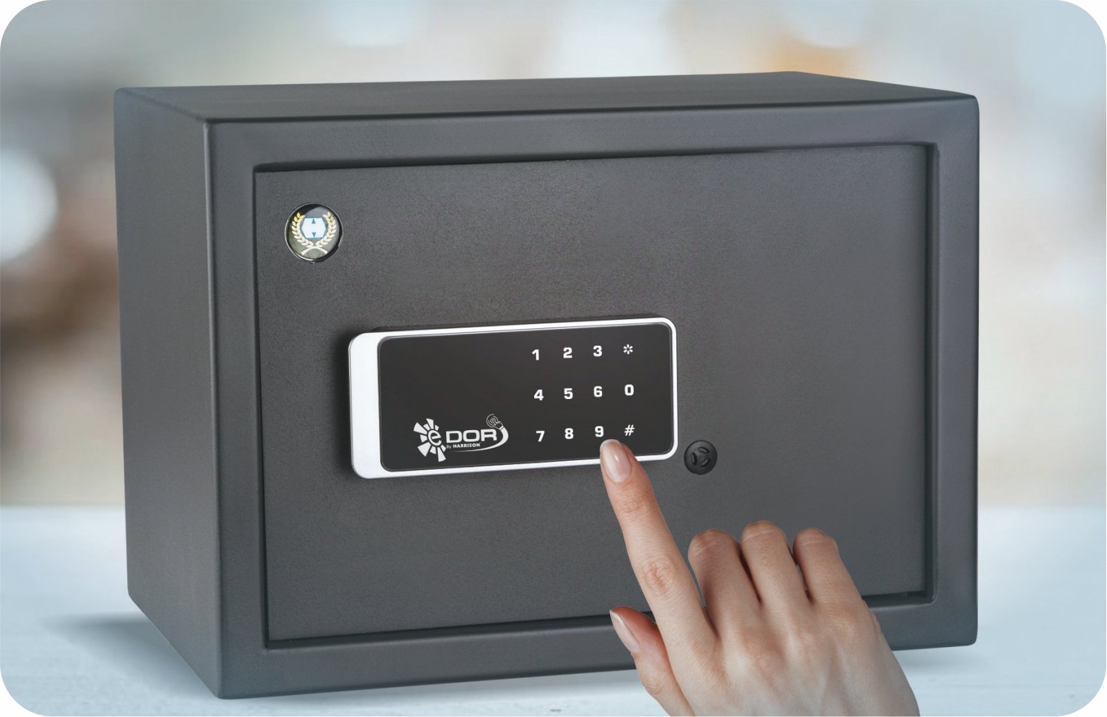 Electronic Rim Locks