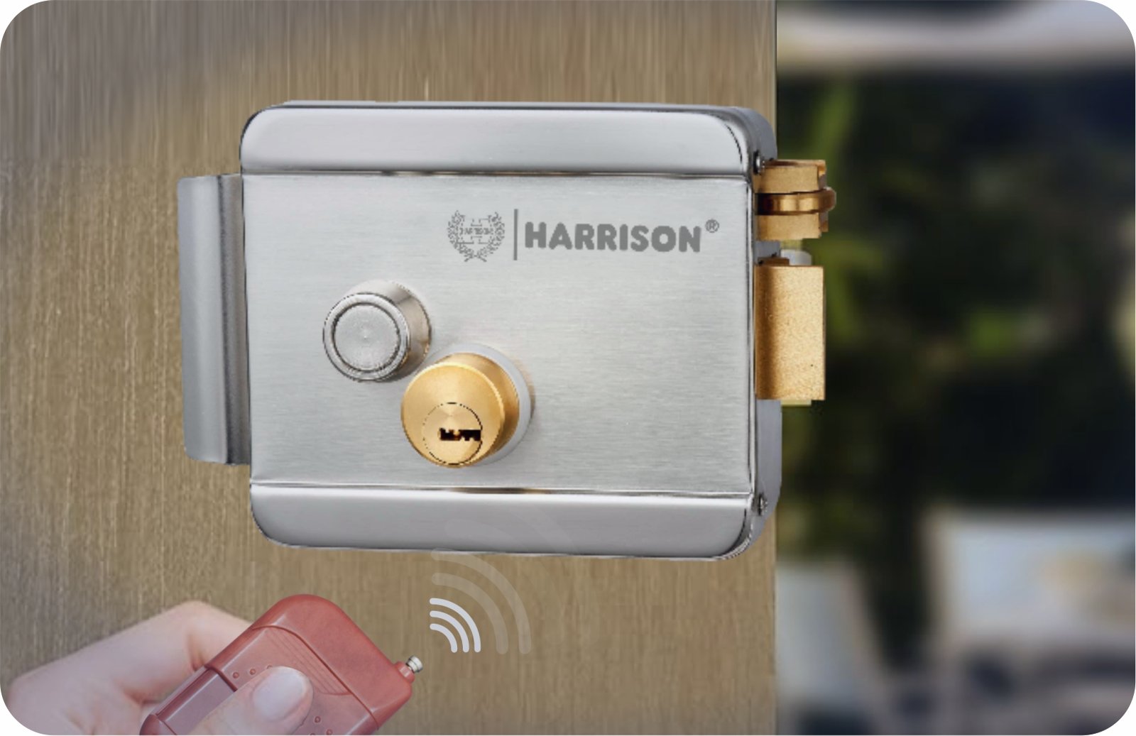 Electronic Rim Locks